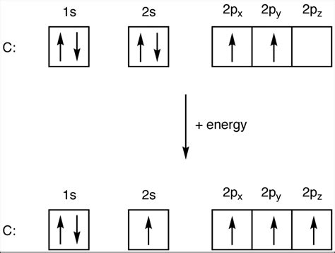 carbon orbital diagram.